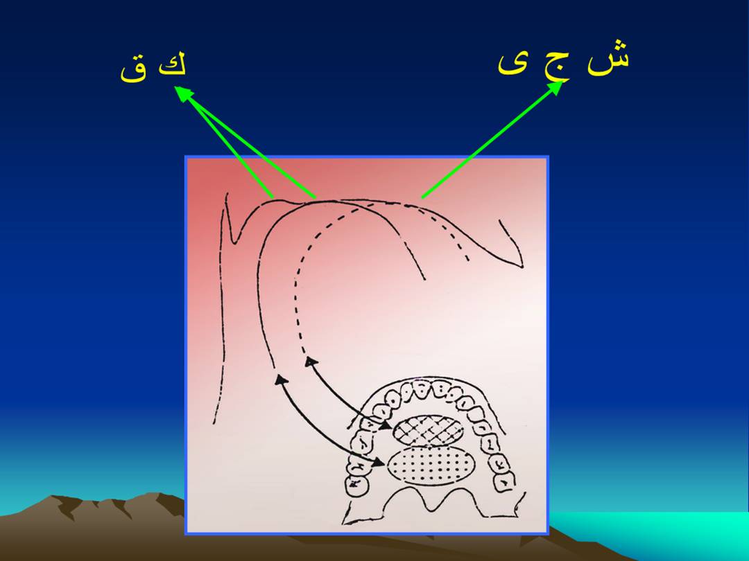 تجويد الحرف - مخارج الحروف